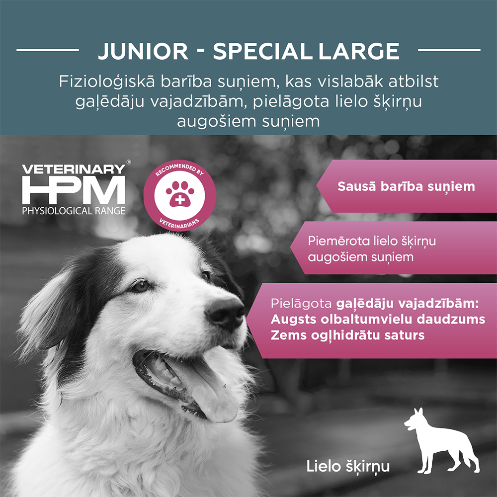 HPM DOG Junior special large 12 kg