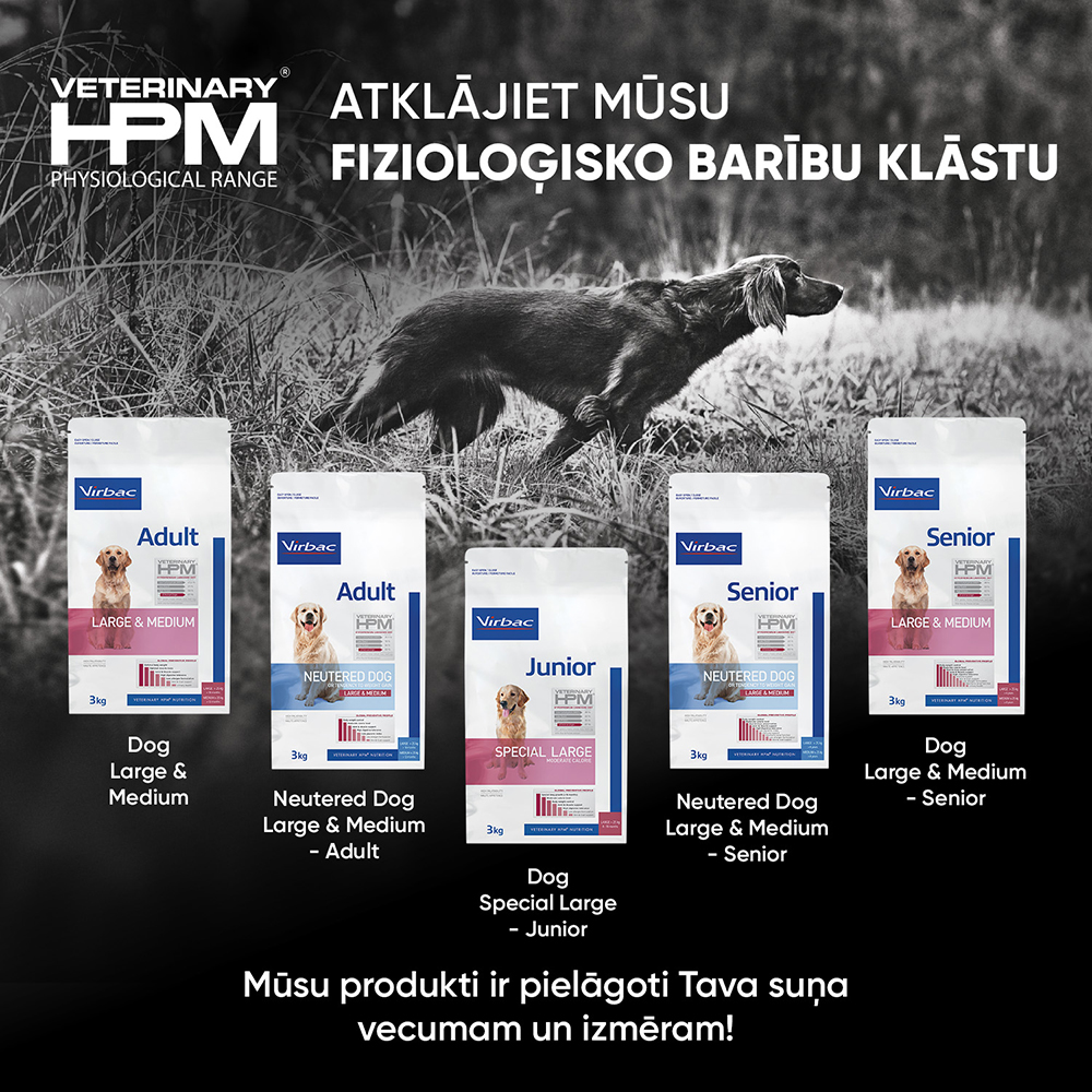 https://admins.bertasnams.lv/storage/media/18995/3561963600470_6_HPM-DOG-Senior-neuter.-large&medium-12-kg.jpg