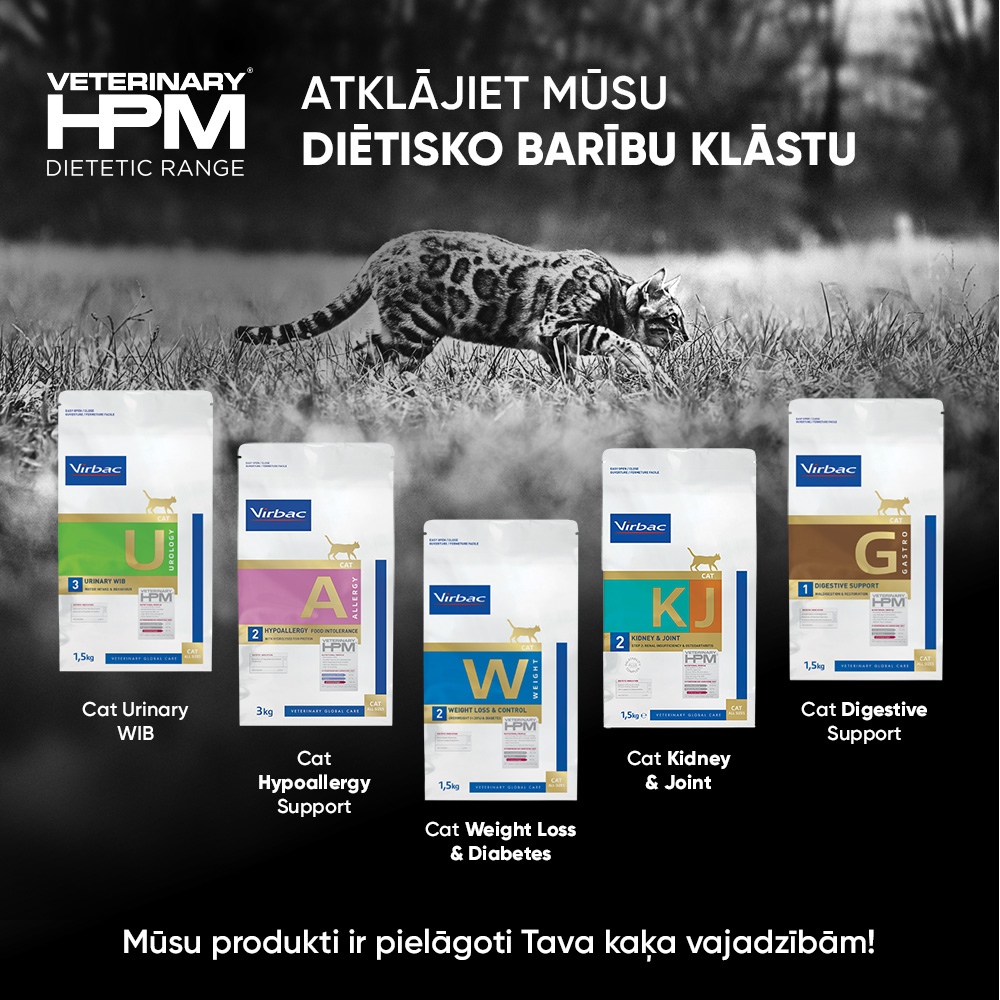 https://admins.bertasnams.lv/storage/media/19267/3561963601675_6_HPMD-Cat-Hypoallergy-with-hydrolysed-fish-protein-(2)-3-kg.jpg