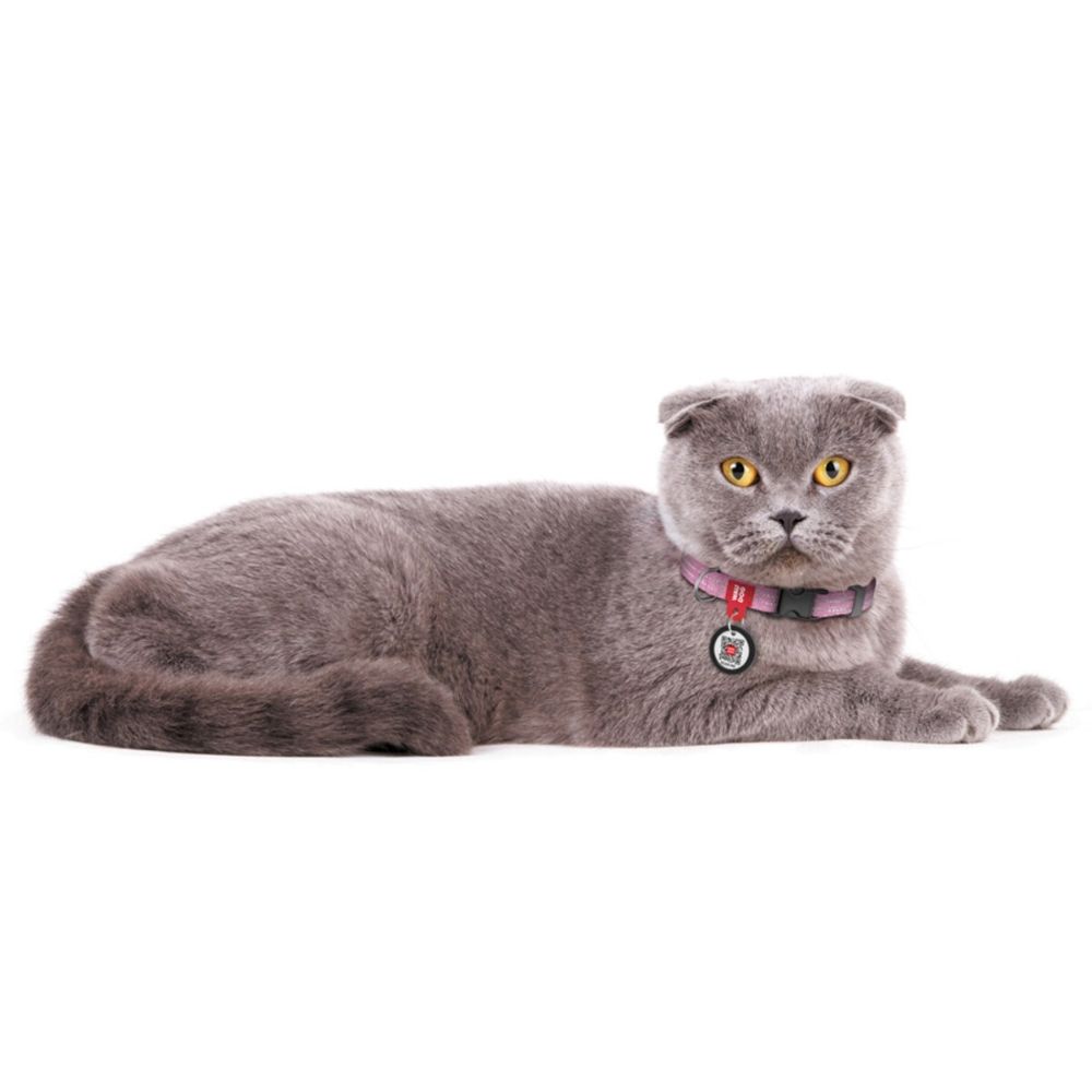https://admins.bertasnams.lv/storage/media/19461/4823089353555_3_WAUDOG-Kakla-siksna-suņiem-ar-QR-pasi,-XS,-W-10mm,-L-20-30cm,-Rozā.jpg