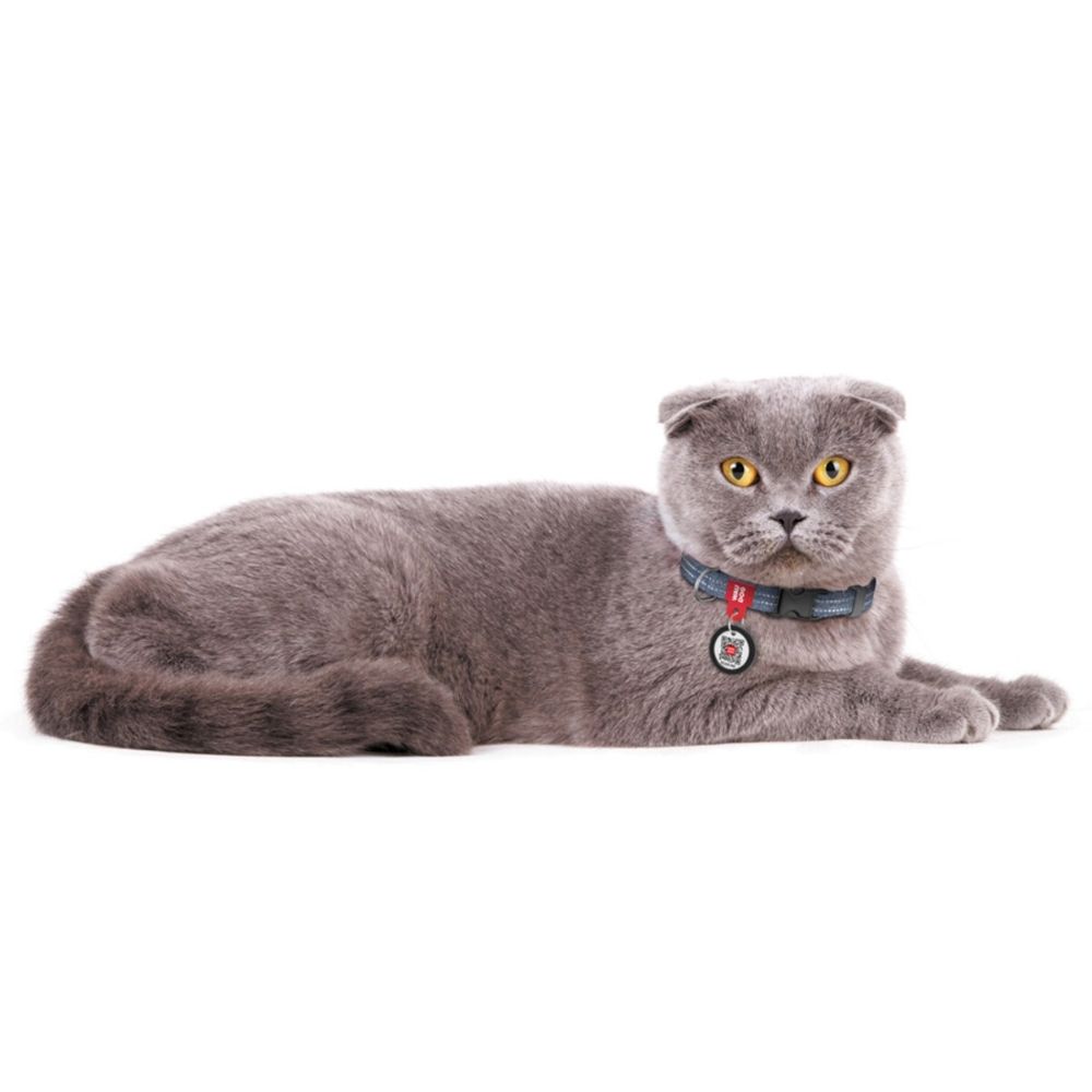 https://admins.bertasnams.lv/storage/media/19465/4823089353661_3_WAUDOG-Kakla-siksna-suņiem-ar-QR-pasi,-XS,-W-10mm,-L-20-30cm,-Tumši-zila.jpg