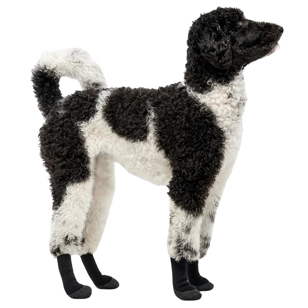 https://admins.bertasnams.lv/storage/media/19750/688118010274_3_Gooeez-Lites-Dog-Booties-(4-pack)-2XL-Black_Black.jpg