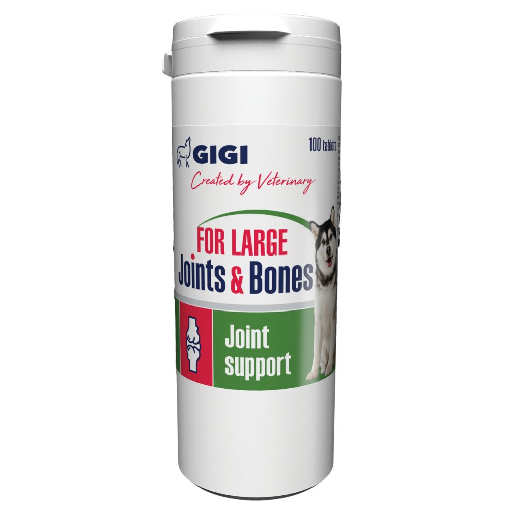 https://admins.bertasnams.lv/storage/media/19997/4751008430073_1_GIGI-Large-Joints&Bones-tbl.-N100.jpg