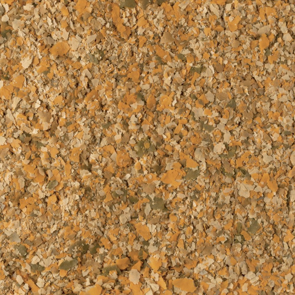 https://admins.bertasnams.lv/storage/media/20416/4004218766402_3_TetraMin-Flakes---barība-zivīm-(pārslas)-12-g.jpg