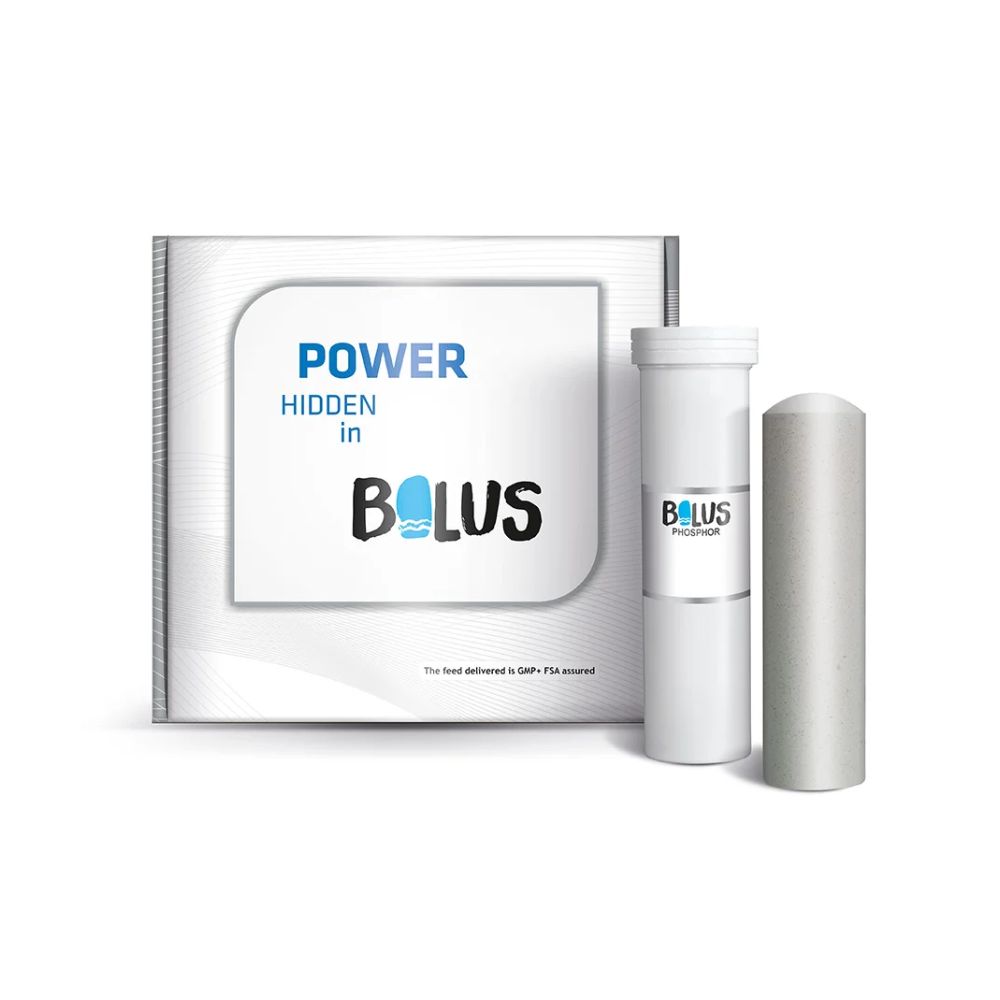 https://admins.bertasnams.lv/storage/media/21071/13487_1_JF-Phosphor-boli-185-g-N4.jpg