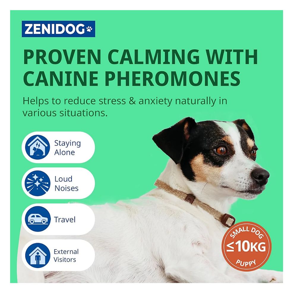 ZENIDOG kakla siksna suņiem, mazākiem par 10 kg (39 cm) N1
