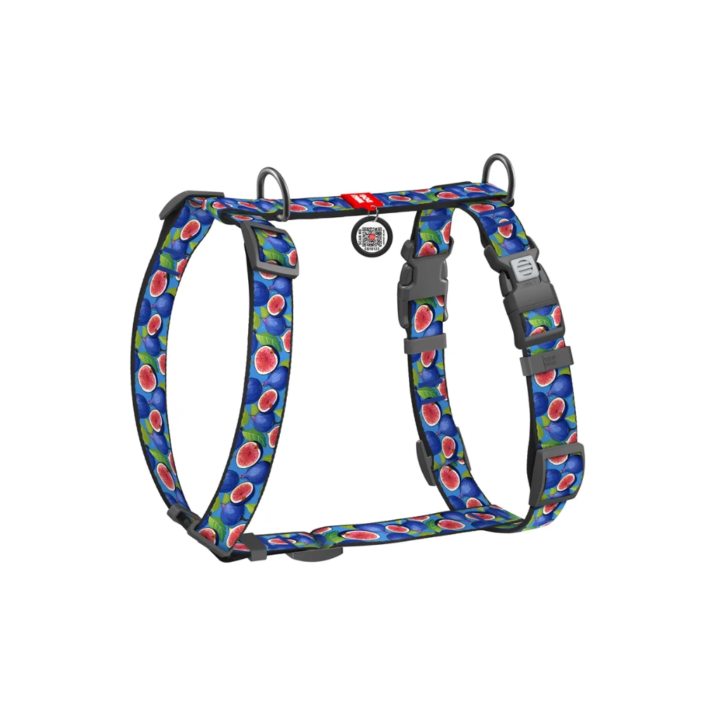 WAUDOG iemaukti suņiem H-veida ar QR-pasi, "Fig", pl. aizdare, S, W 15 mm, A 30-45 cm, B 36-45 cm