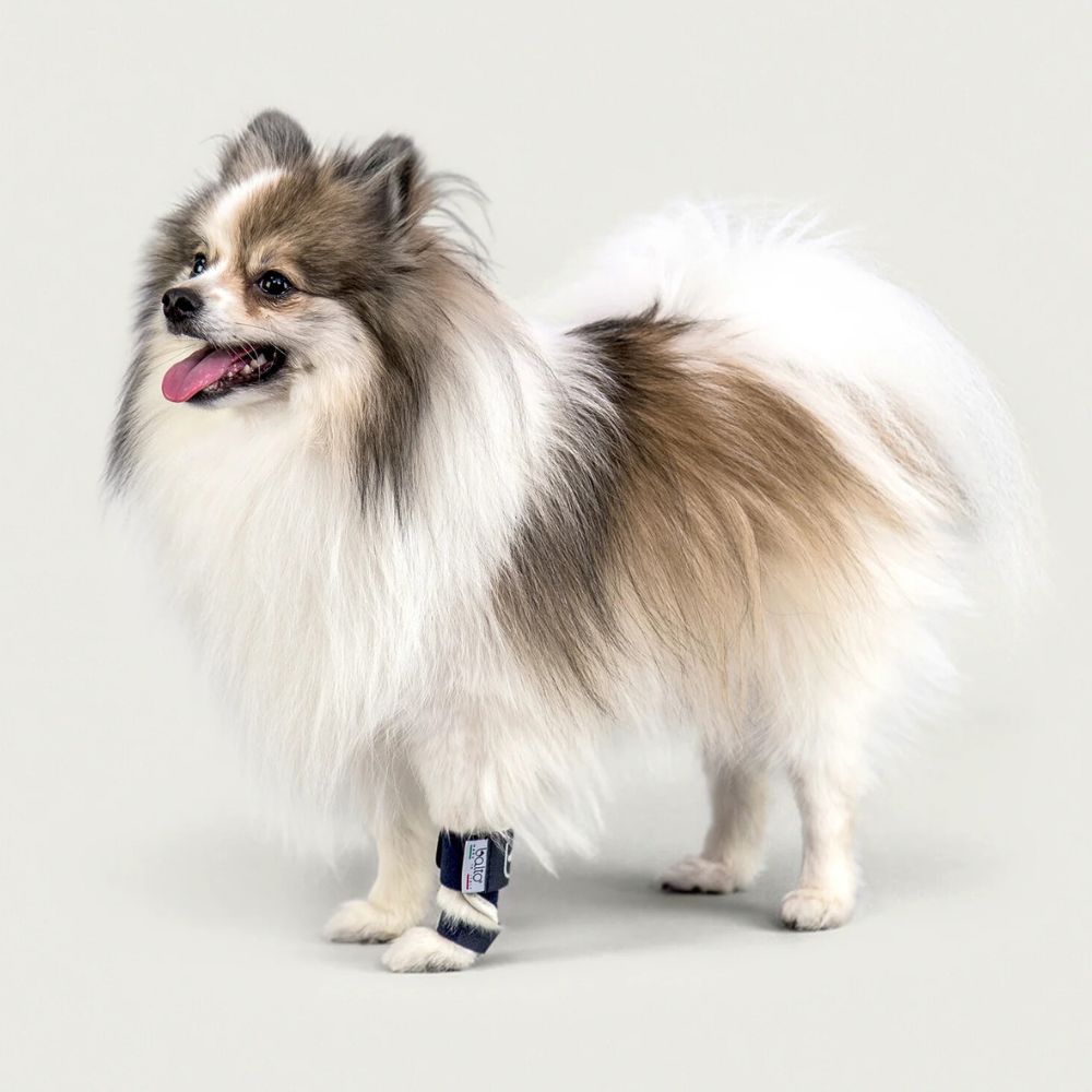 https://admins.bertasnams.lv/storage/media/7111/8051764890514_1_BALTO-ortoze-suņiem-BT-Splint-(Carpal-and-Tarsal-Splint)-M.jpg
