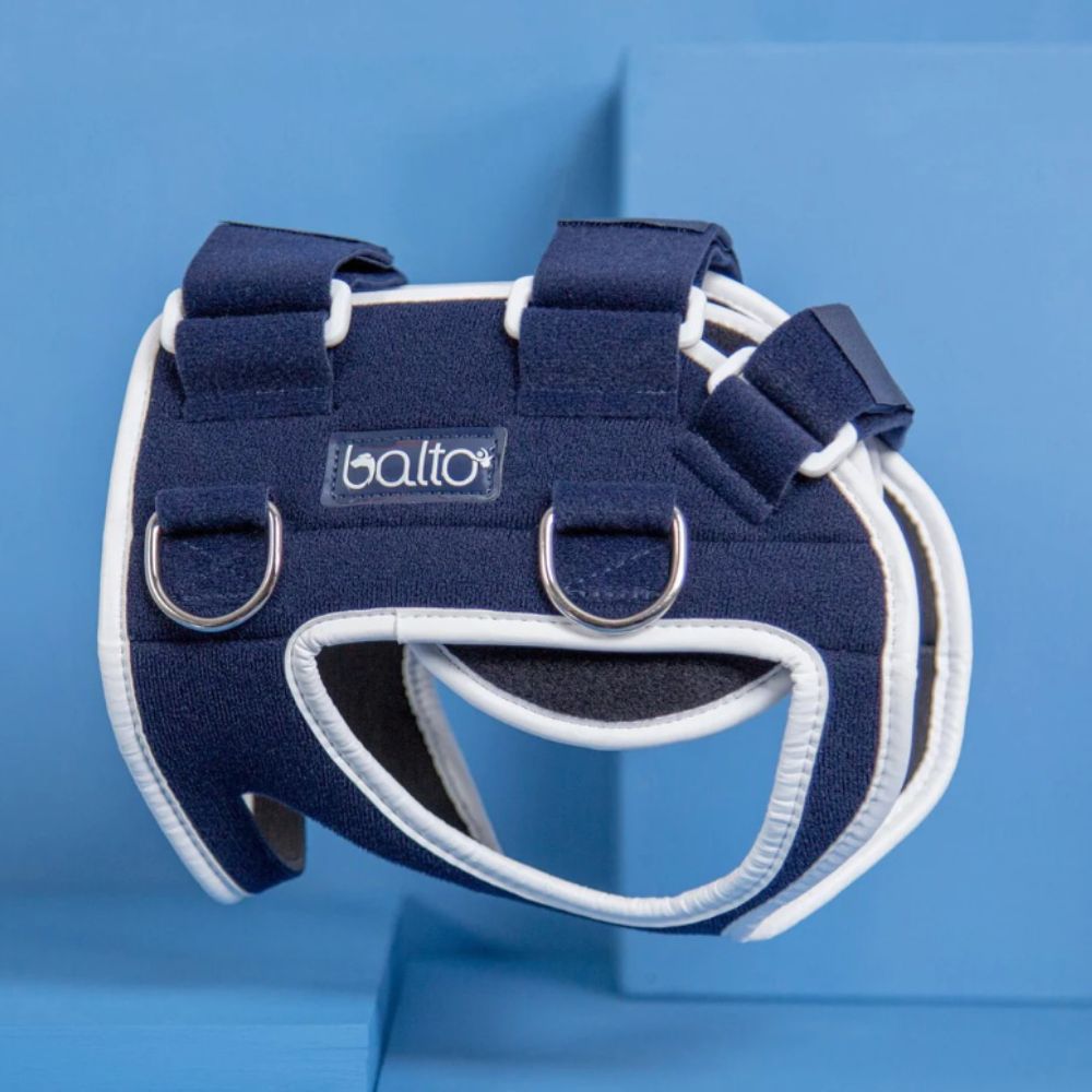 https://admins.bertasnams.lv/storage/media/7146/8051764891924_2_BALTO-ortoze-suņiem-BT-Life-(Hip-Dysplasia-Brace)-S.jpg